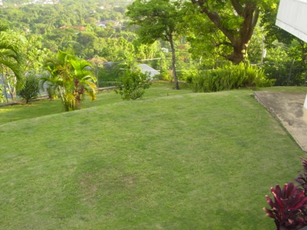 Hill Top Kingston Jamaica Luaran gambar